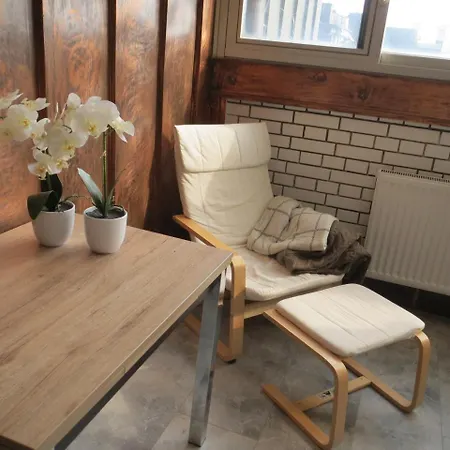 De Luxe Duplex Kozmetika Kahne 公寓 卢布尔雅那